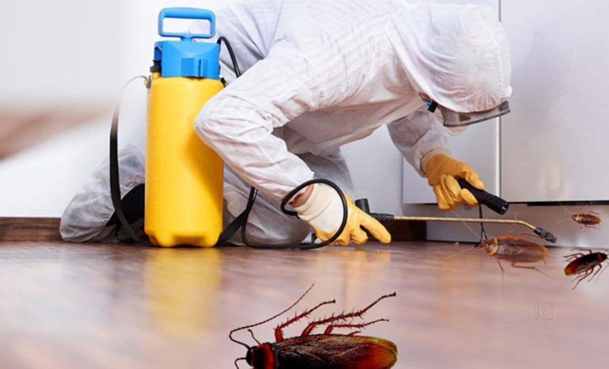 Professional Fumigation Kenya